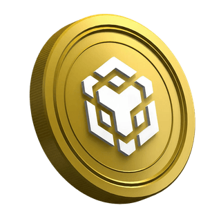 Pagina della guida dedicata ai nuovi trader con la criptovaluta BNB